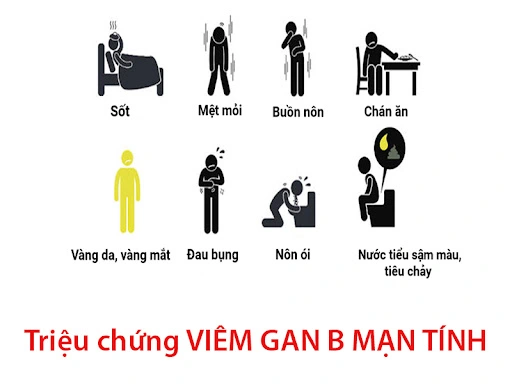 trieu-chung-vien-gan-b-man-tinh.webp